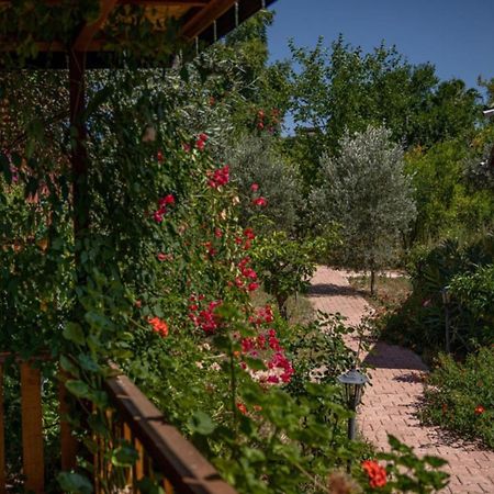 Felicity Hotel & Bungalows Кемер Екстериор снимка