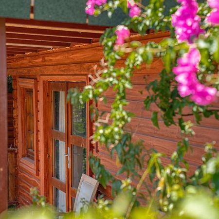 Felicity Hotel & Bungalows Кемер Екстериор снимка