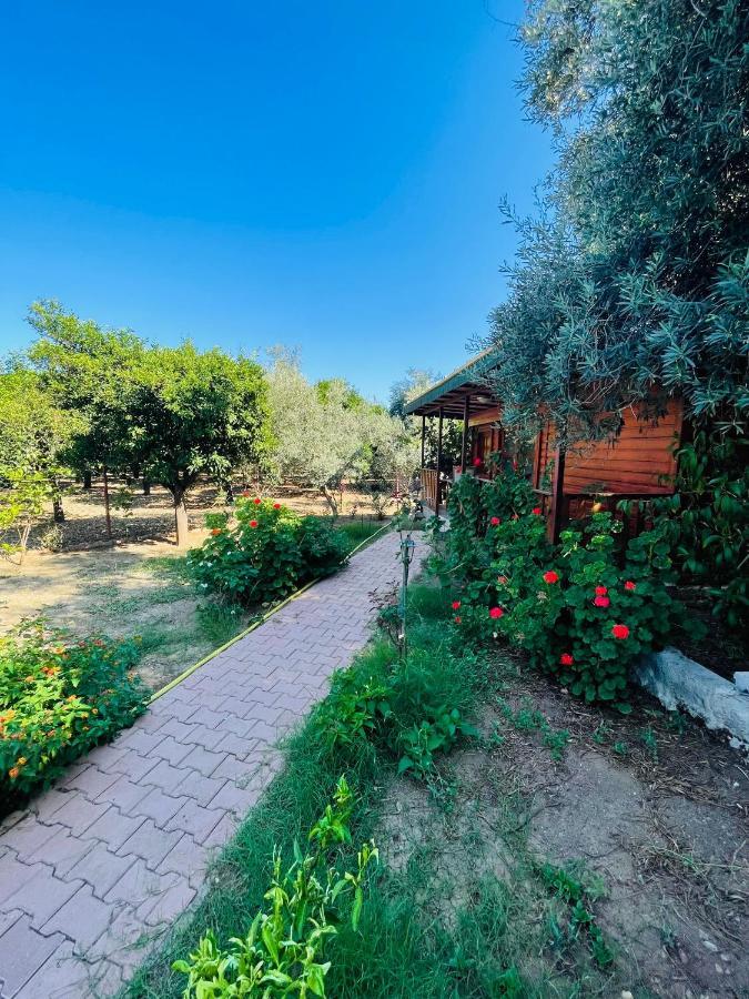 Felicity Hotel & Bungalows Кемер Екстериор снимка