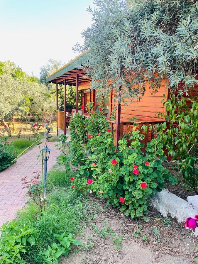Felicity Hotel & Bungalows Кемер Екстериор снимка