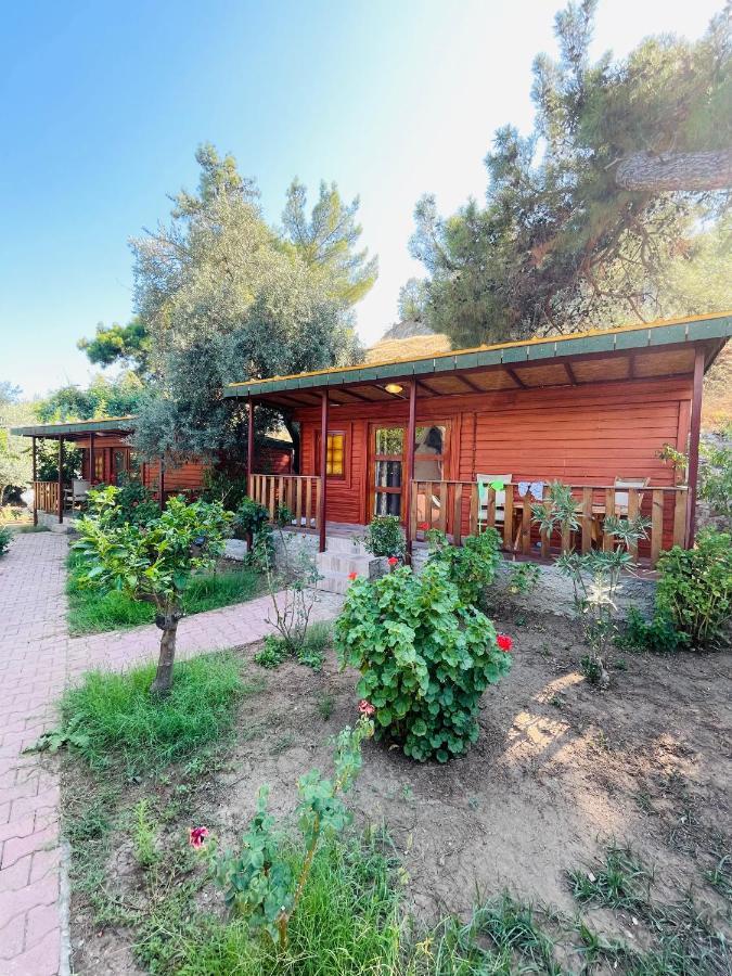 Felicity Hotel & Bungalows Кемер Екстериор снимка