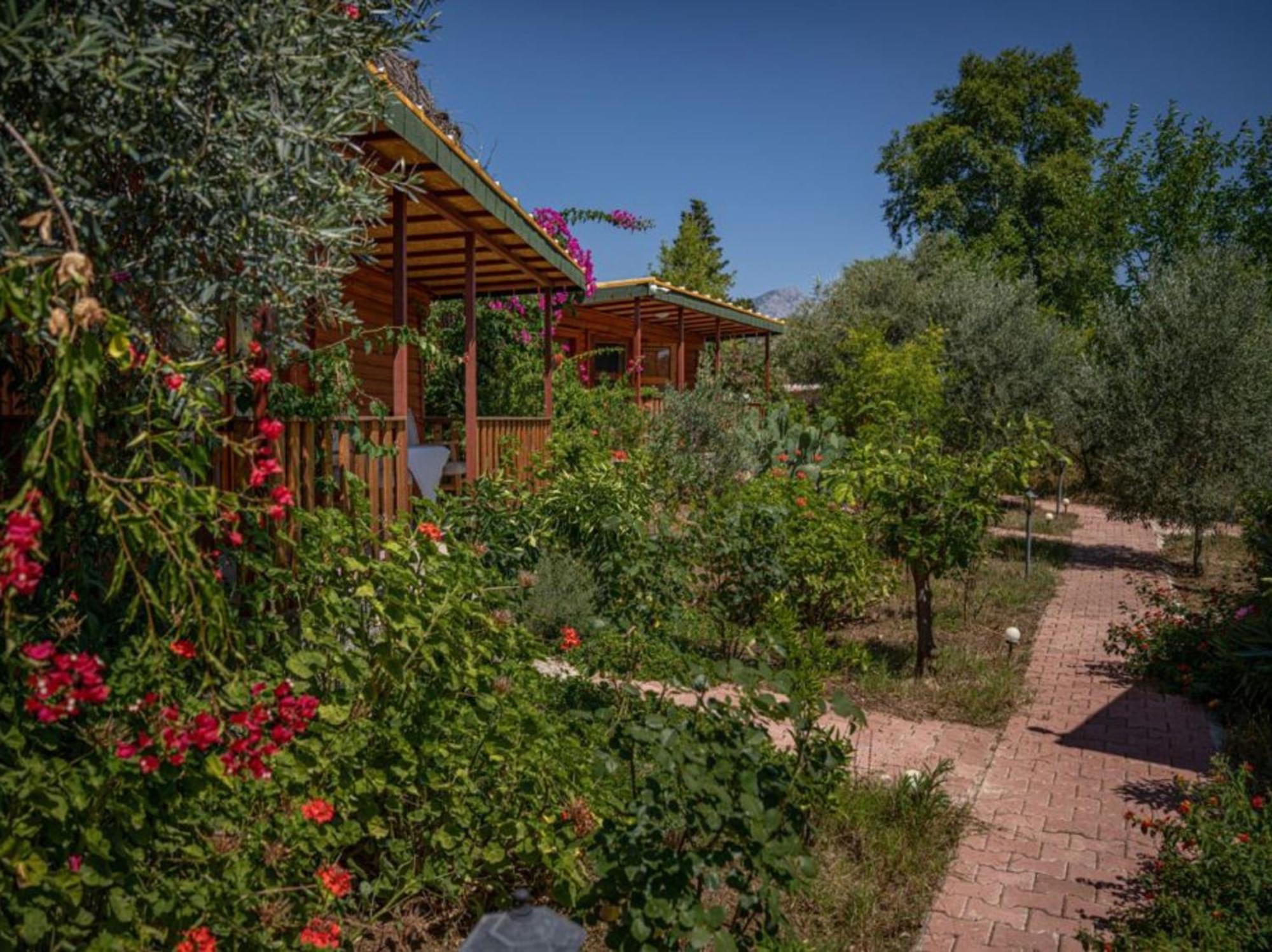 Felicity Hotel & Bungalows Кемер Екстериор снимка
